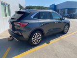 Used 2020 Ford Escape Titanium image 4