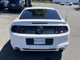 Used 2014 Ford Mustang GT w/ Equipment Group 301A image 6