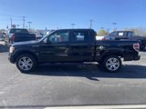 Used 2014 Ford F150 STX w/ Equipment Group 201A Mid image 5