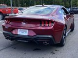 New 2025 Ford Mustang Coupe image 5