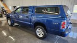 Used 2009 Dodge Dakota Big Horn image 6