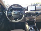 Used 2020 Ford Escape SEL image 3