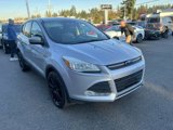 Used 2013 Ford Escape SE image 3