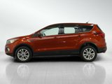 Used 2019 Ford Escape SE image 2