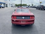 Used 2016 Ford Mustang Coupe image 4