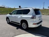 Used 2018 Lexus GX 460 image 5