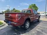 Used 2014 Ford F150 STX w/ Equipment Group 201A Mid image 4