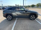 New 2024 Hyundai Tucson Limited image 5