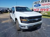 New 2024 Ford F150 XLT w/ Equipment Group 302A MID image 2
