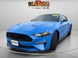 Used 2022 Ford Mustang Coupe w/ Equipment Group 101A image 3