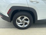 Used 2022 Hyundai Tucson SEL w/ Cargo Package image 3