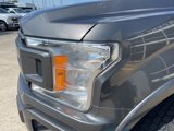 Certified 2020 Ford F150 XLT w/ Equipment Group 302A Luxury image 4