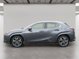 Used 2024 Lexus UX 250h AWD w/ Premium Package image 3