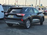 Used 2022 Ford Escape SEL image 4