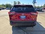 Used 2019 Toyota RAV4 LE image 5