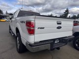 Used 2014 Ford F150 XLT w/ XLT Chrome Package image 6