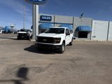 New 2025 Ford F150 XL image 2