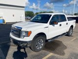 Used 2013 Ford F150 XLT w/ Luxury Equipment Group image 2