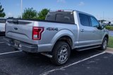 Used 2015 Ford F150 XLT w/ Equipment Group 302A Luxury image 4