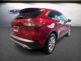 Used 2022 Ford Escape SE w/ Convenience Package image 6