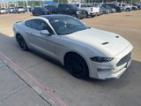 Used 2019 Ford Mustang Coupe w/ Equipment Group 101A image 4