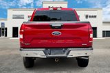 Used 2019 Ford F150 XLT w/ Equipment Group 302A Luxury image 4