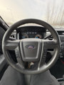 Used 2013 Ford F150 XLT image 6