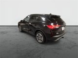Used 2020 Ford Escape SEL image 6