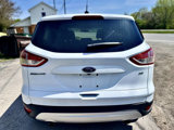 Used 2015 Ford Escape SE image 4