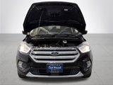 Used 2019 Ford Escape SEL image 5