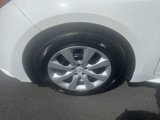 Certified 2024 Toyota Corolla LE image 6