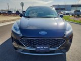 Used 2020 Ford Escape SE image 3