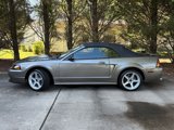 Used 2001 Ford Mustang Cobra image 4