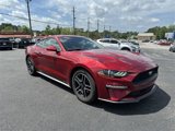 Used 2019 Ford Mustang Coupe w/ Equipment Group 101A image 1