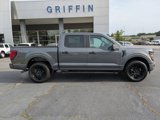 New 2025 Ford F150 STX w/ STX Black Appearance Package image 3
