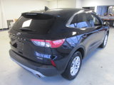 Used 2021 Ford Escape SE w/ Convenience Package image 4