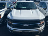 New 2025 Ford F150 XLT w/ Equipment Group 302A MID image 5