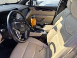 Used 2019 Cadillac XT5 Premium Luxury image 5