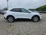Used 2020 Ford Escape SE image 4