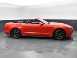Used 2022 Ford Mustang Premium image 6