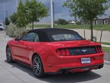 Used 2017 Ford Mustang Premium image 5