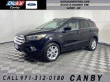 Used 2019 Ford Escape SEL image 1