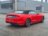 Used 2023 Ford Mustang Premium image 5