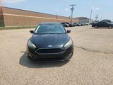 Used 2015 Ford Focus SE w/ Equipment Group 201A image 4