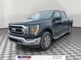 Used 2022 Ford F150 XLT w/ Equipment Group 302A High image 2