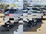 Used 2022 Ford Escape SEL image 4