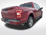 Used 2019 Ford F150 XLT w/ Equipment Group 302A Luxury image 5