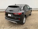 Certified 2024 Ford Escape Active image 5