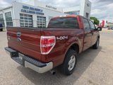 Used 2014 Ford F150 XLT image 5