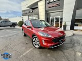 Used 2022 Ford Escape SEL image 3